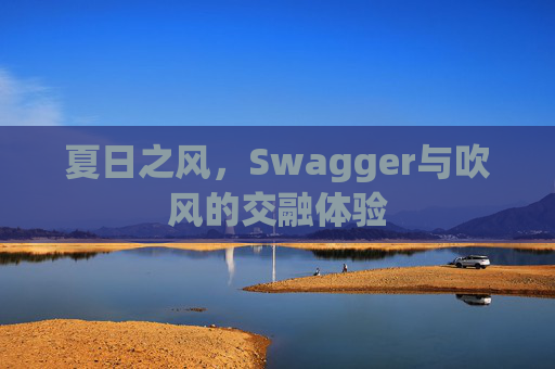 夏日之风,Swagger与吹风的交融体验